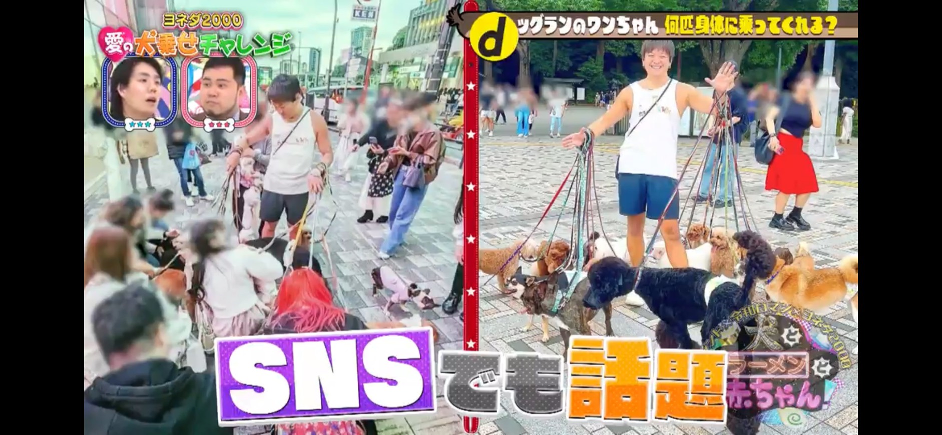 メディア掲載:集団遠足の様子